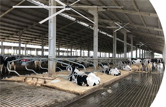Ventilador CorTec PMSM