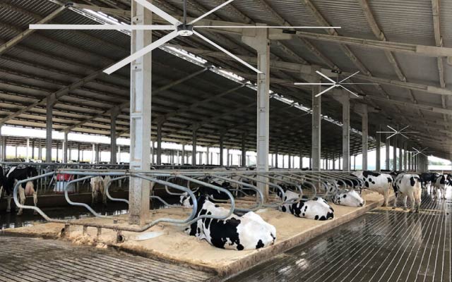 Ventiladores HVLS