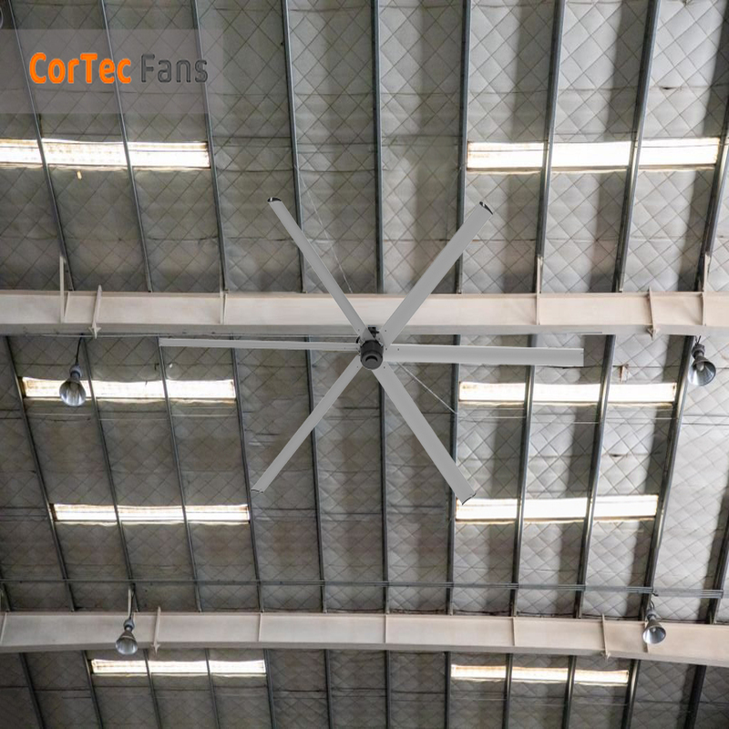 Seleção do tamanho do ventilador: Porque é que um ventilador HVLS de 24 pés é melhor do que quatro ventiladores pequenos?