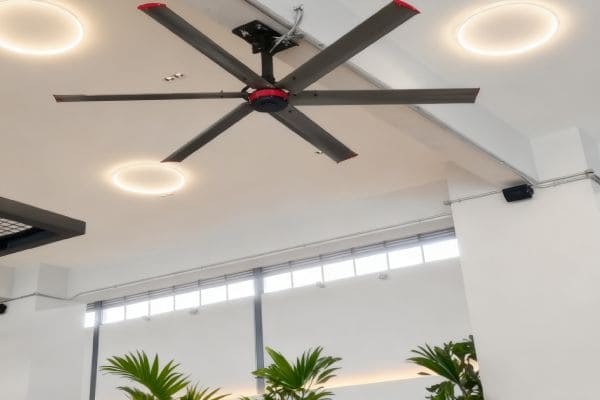 A estratégia do Oceano Azul de Espanha para os fãs de HVLS