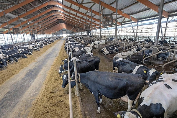 Solução de resfriamento inteligente para fazendas leiteiras